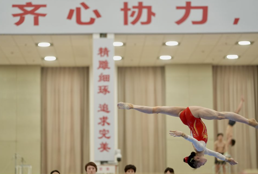 b体育下载背后的算法与赔率解析